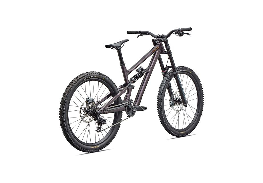 Specialized STATUS 2 170 DH