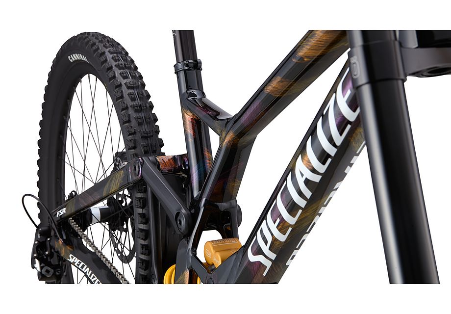 Specialized Demo Race