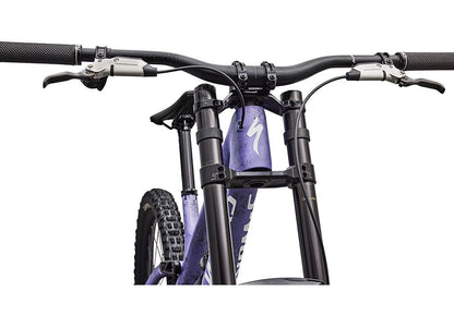 Specialized S-Works Demo 11
