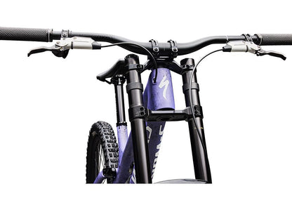 Specialized S-Works Demo 11