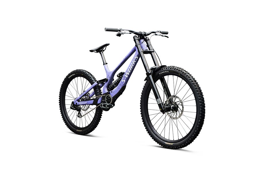 Specialized S-Works Demo 11