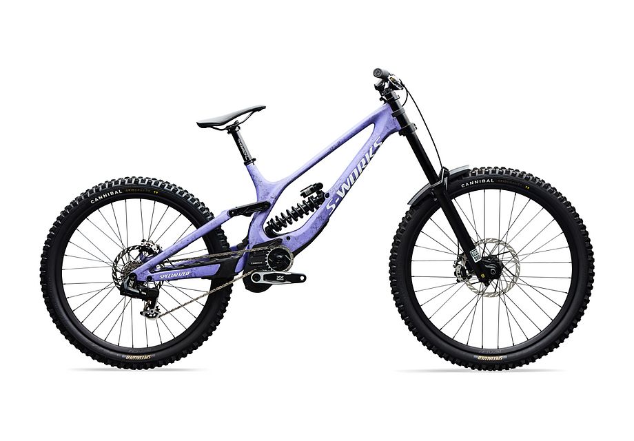 Specialized S-Works Demo 11