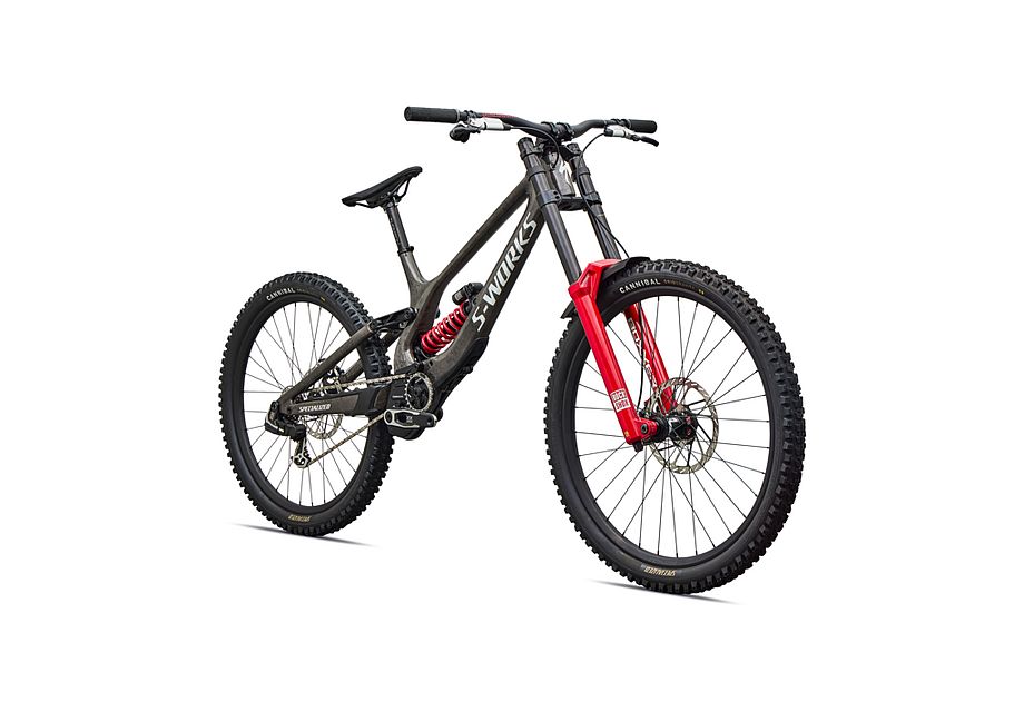 Specialized S-Works Demo 11