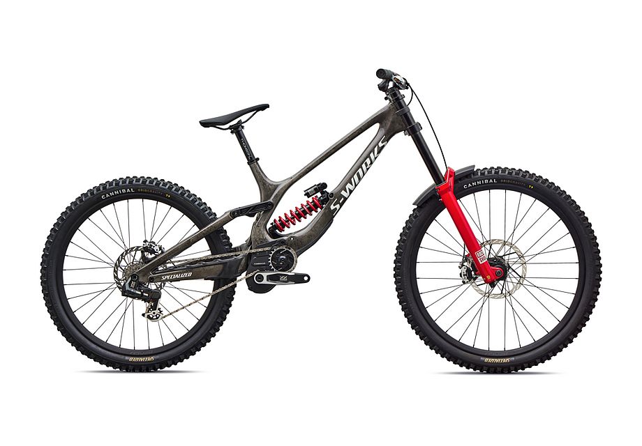 Specialized S-Works Demo 11