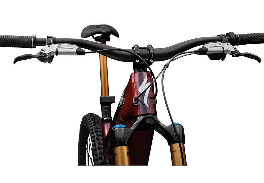Specialized S-Works Turbo Levo 4