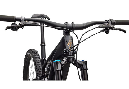Specialized Turbo Levo R Expert