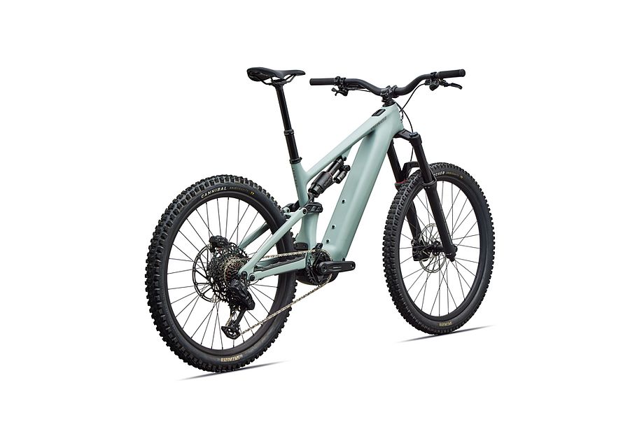 Specialized Levo 4 EVO Comp
