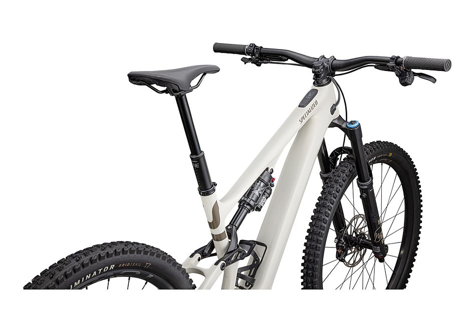 Specialized Turbo Levo SL 2 Expert Carbon