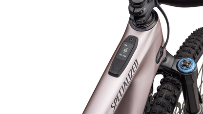 Specialized Turbo Levo SL 2 Expert