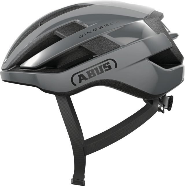 Abus - Wingback