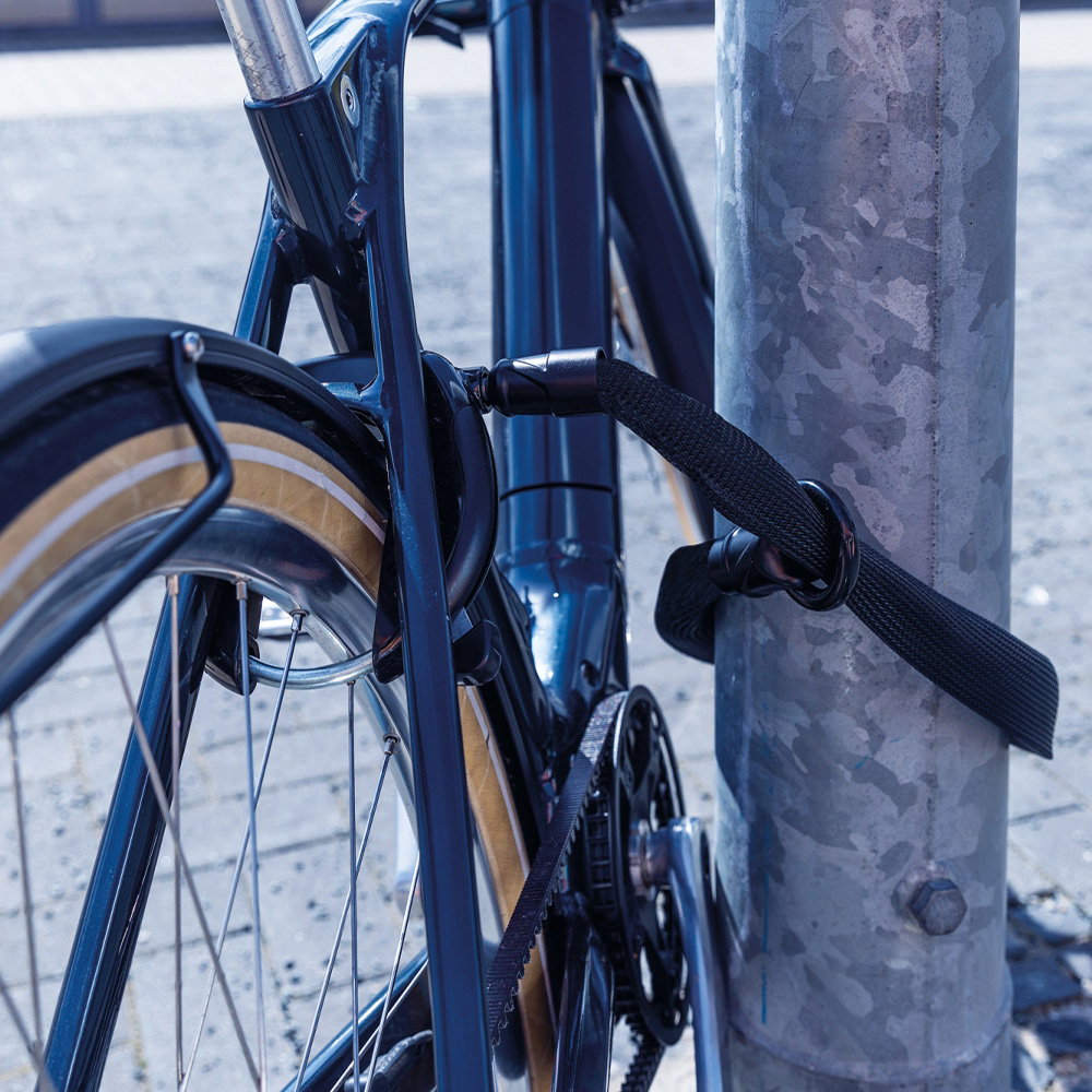 ABUS - Frame Lock - ACH IVY 6KS/100+ST5950