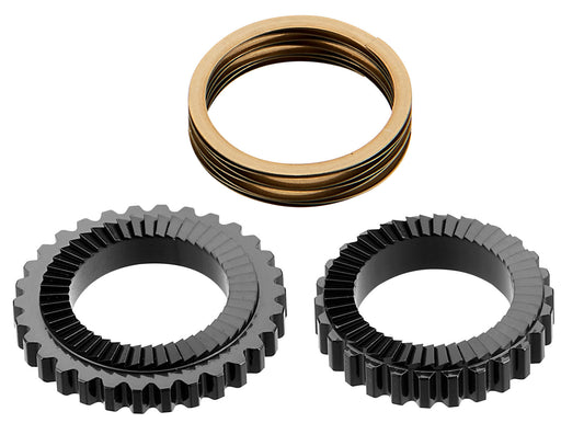 Giant CADEX 48T Ratchet Kit