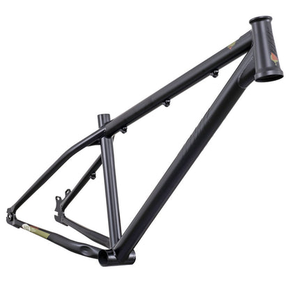 DMR - Frame - Sect 26 Custom - Matt