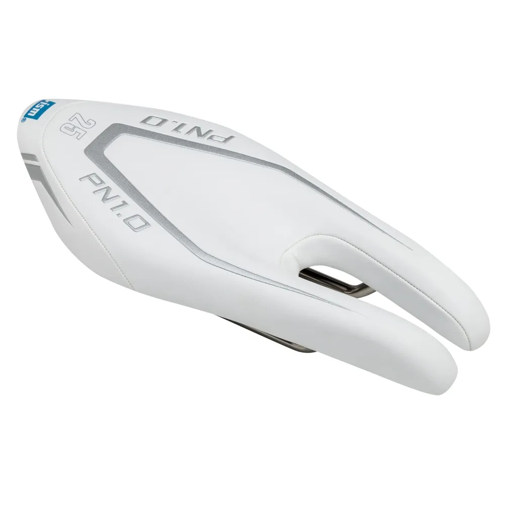 ISM - PN1.0