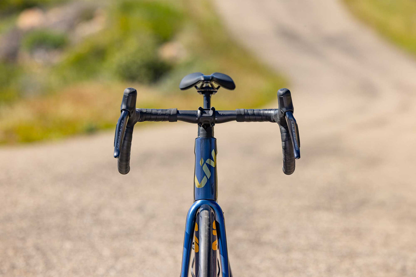 Liv Langma Advanced Pro 0 2025