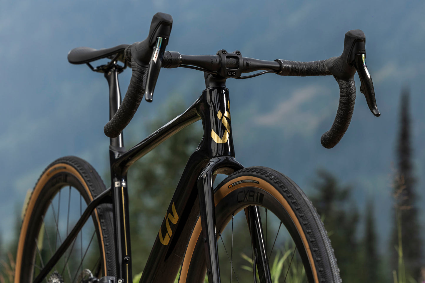 Liv Devote Advanced Pro 2024