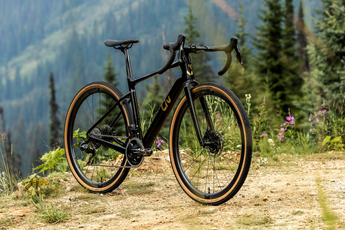Liv Devote Advanced Pro 2024