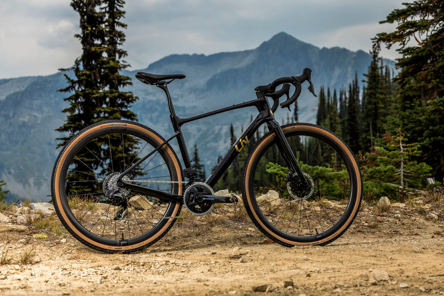 Liv Devote Advanced Pro 2024