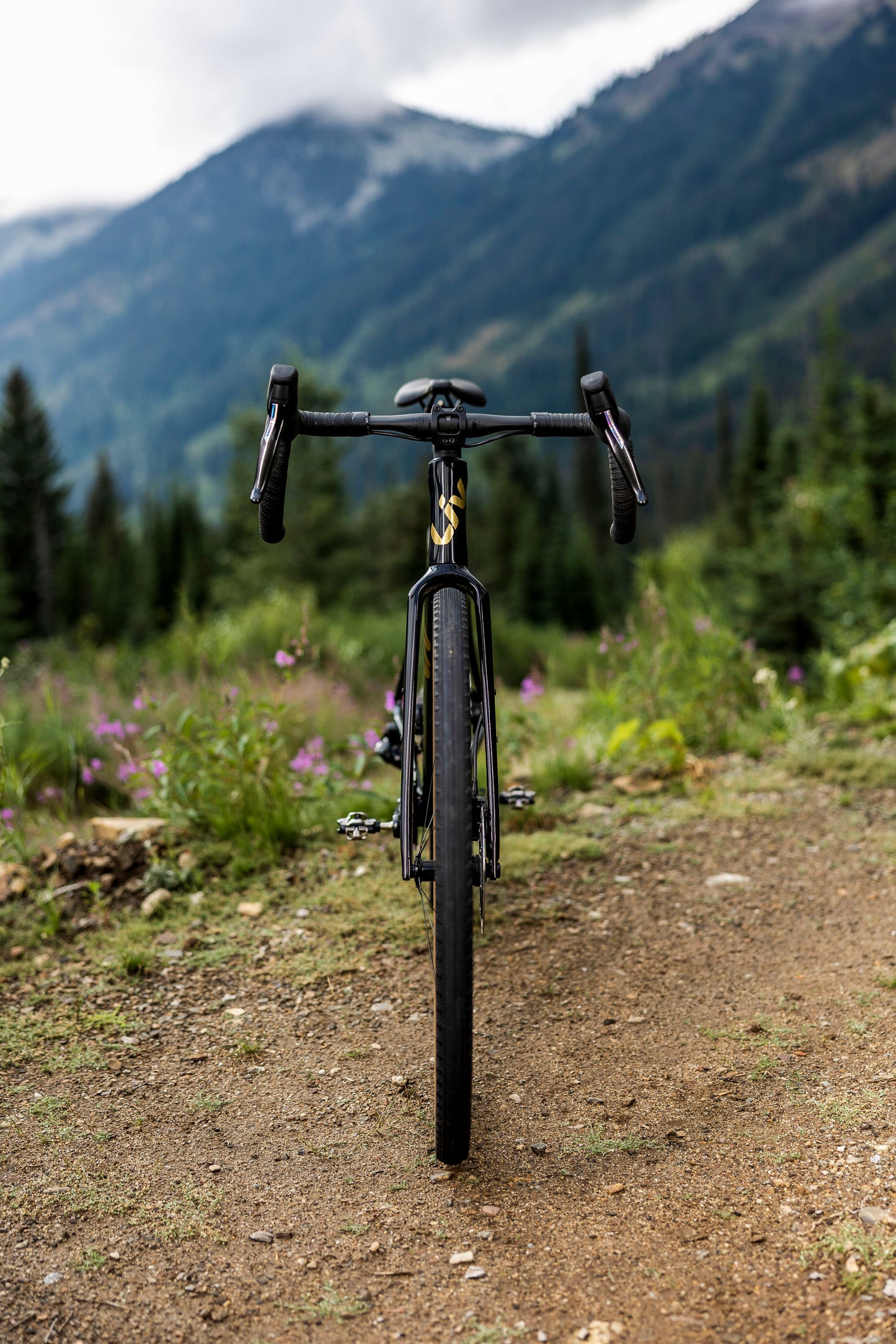 Liv Devote Advanced Pro 2024