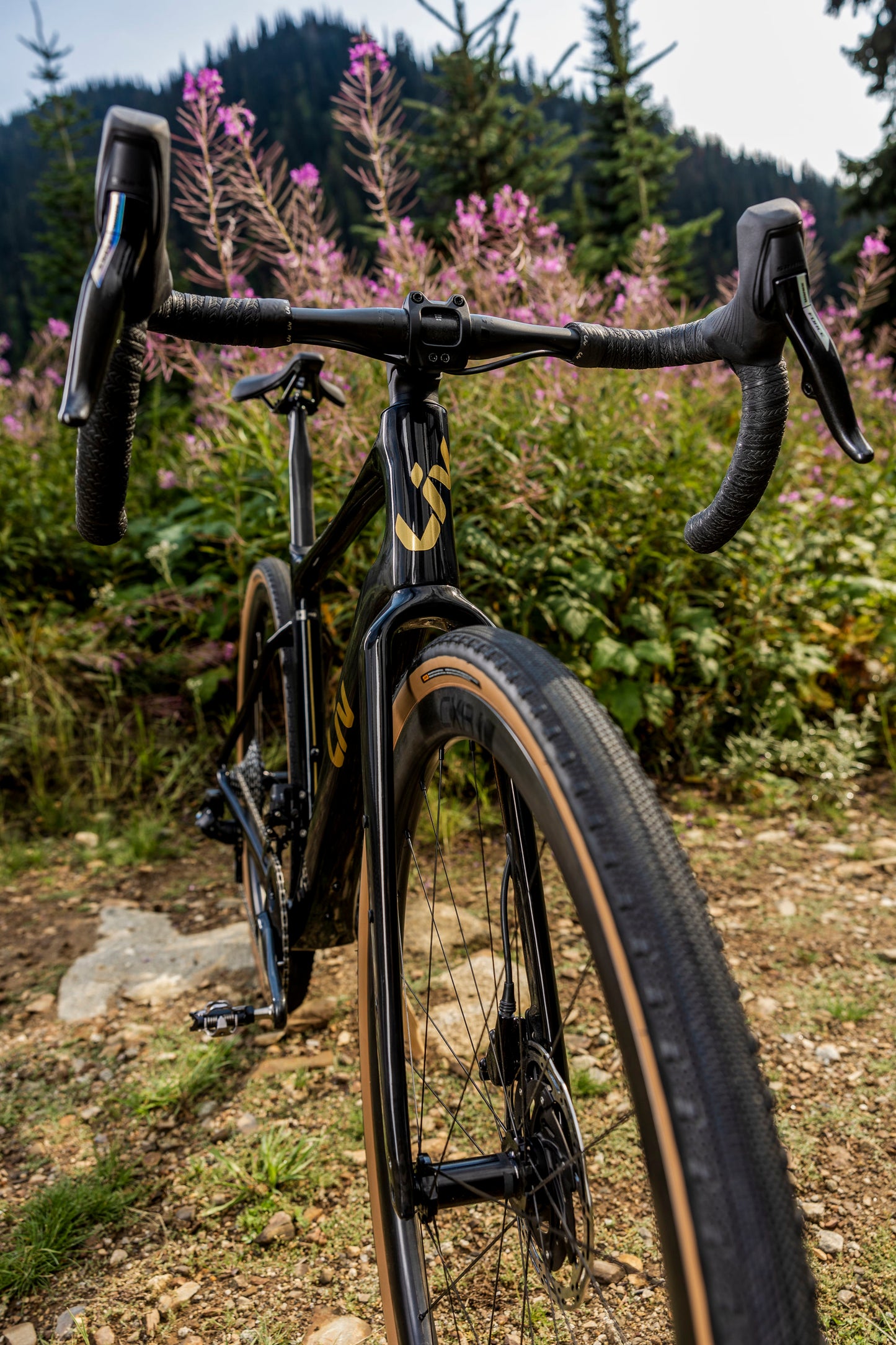 Liv Devote Advanced Pro 2024