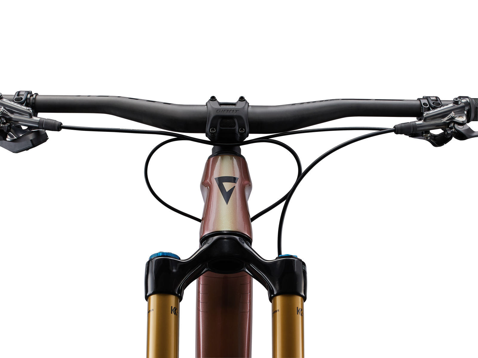 Giant Reign Advanced Pro 0