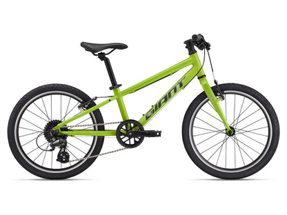 Giant ARX 20 - Cobalt