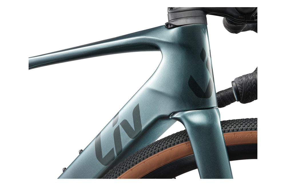 Liv Avail Advanced E+ Elite AR - detail
