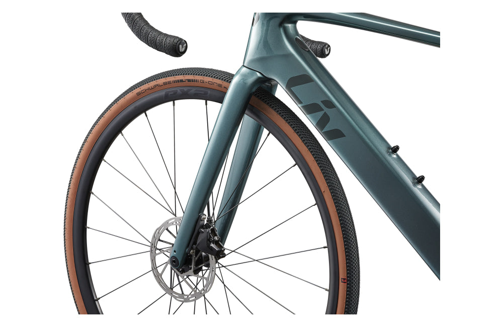 Liv Avail Advanced E+ Elite AR - detail