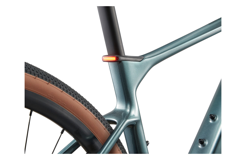 Liv Avail Advanced E+ Elite AR - detail