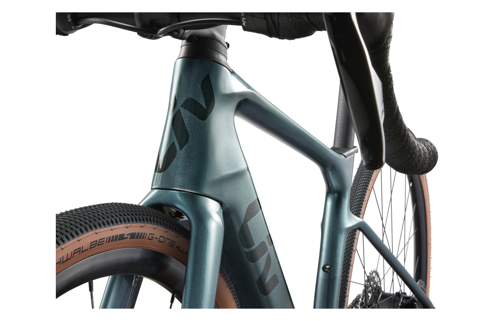 Liv Avail Advanced E+ Elite AR - detail