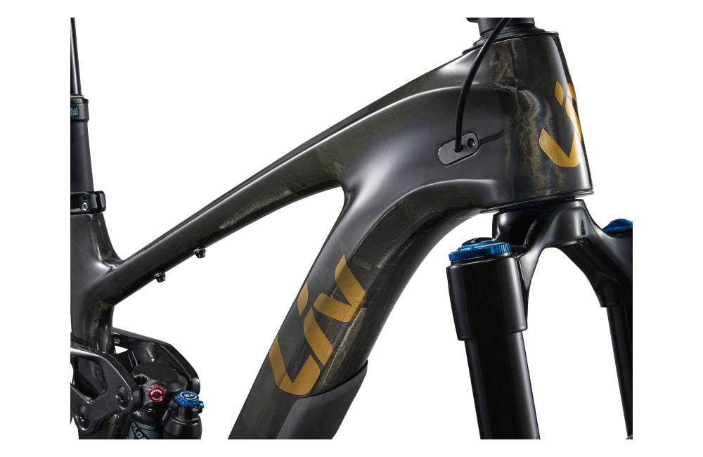 Liv Intrigue X Advanced 1 - detail