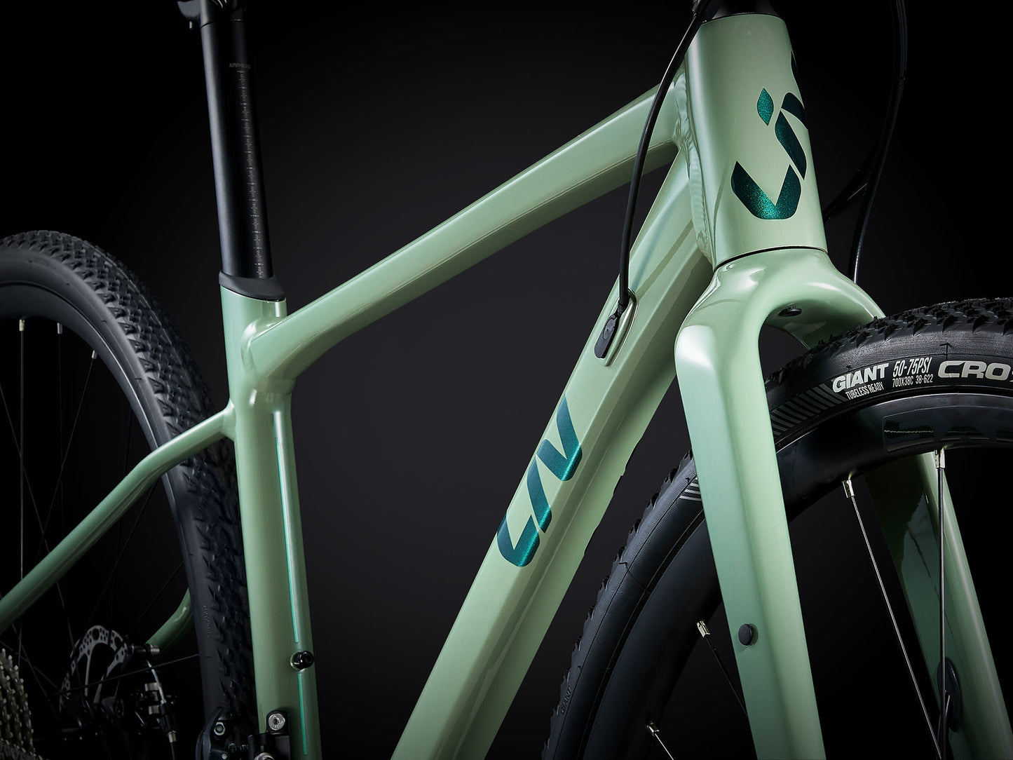 Liv Devote 2 2024