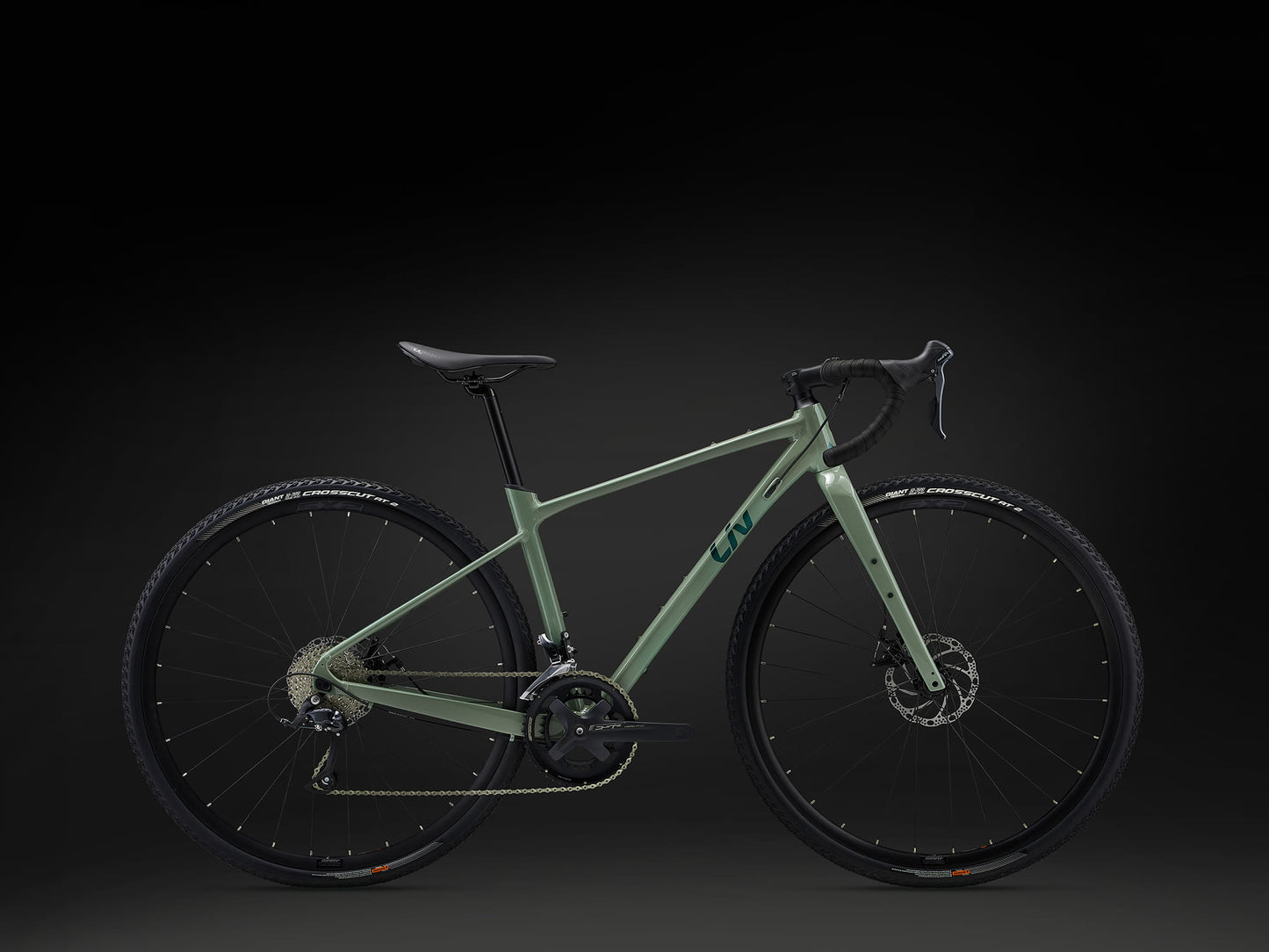 Liv Devote 2 2024