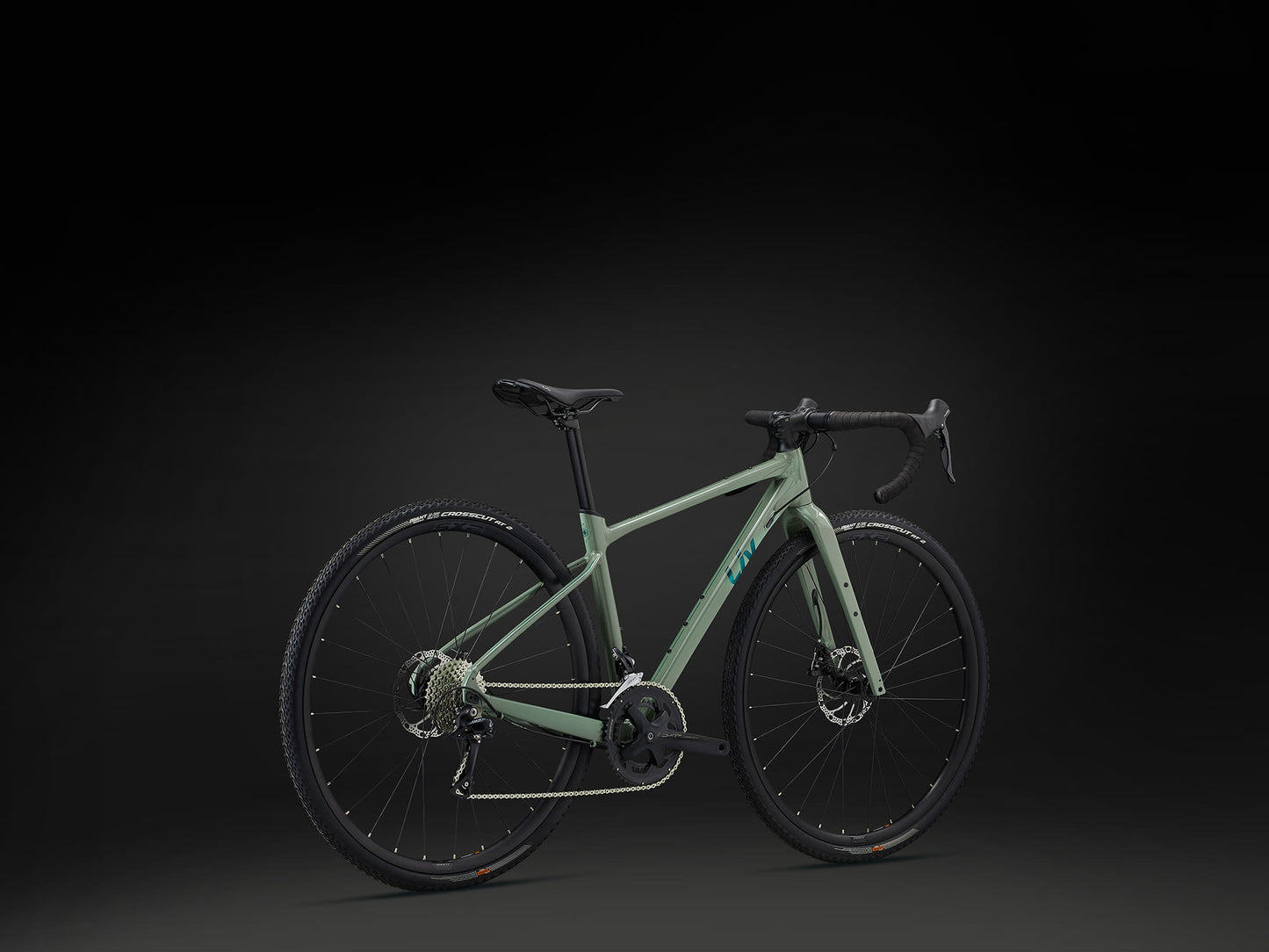 Liv Devote 2 2024