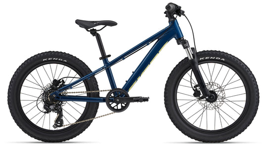 Giant STP 20 FS 2024