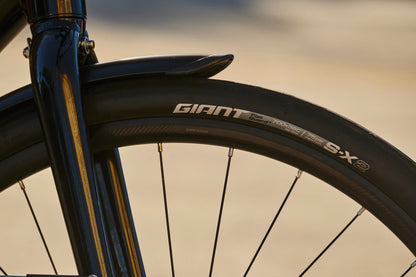 Giant Escape City Disc 2 2024