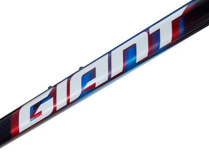 Giant TCR Advanced SL Team Frameset 2025