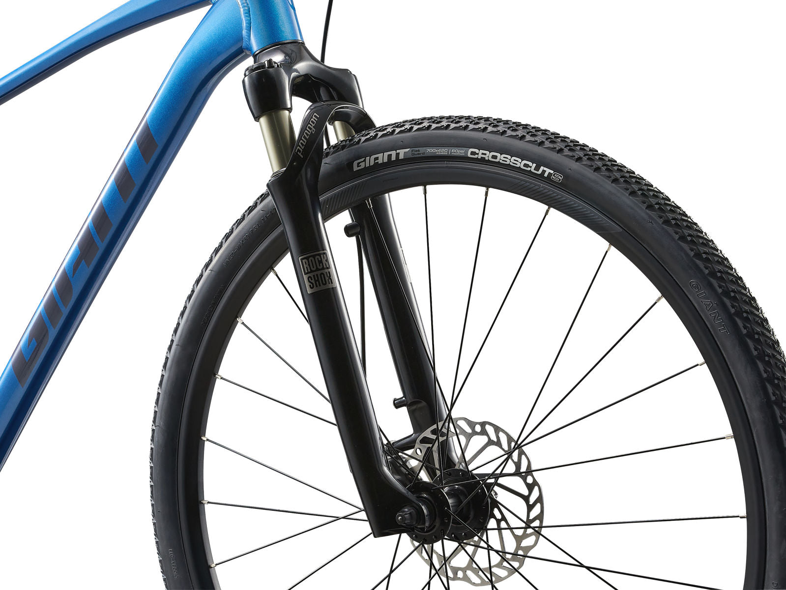 Giant Roam 1