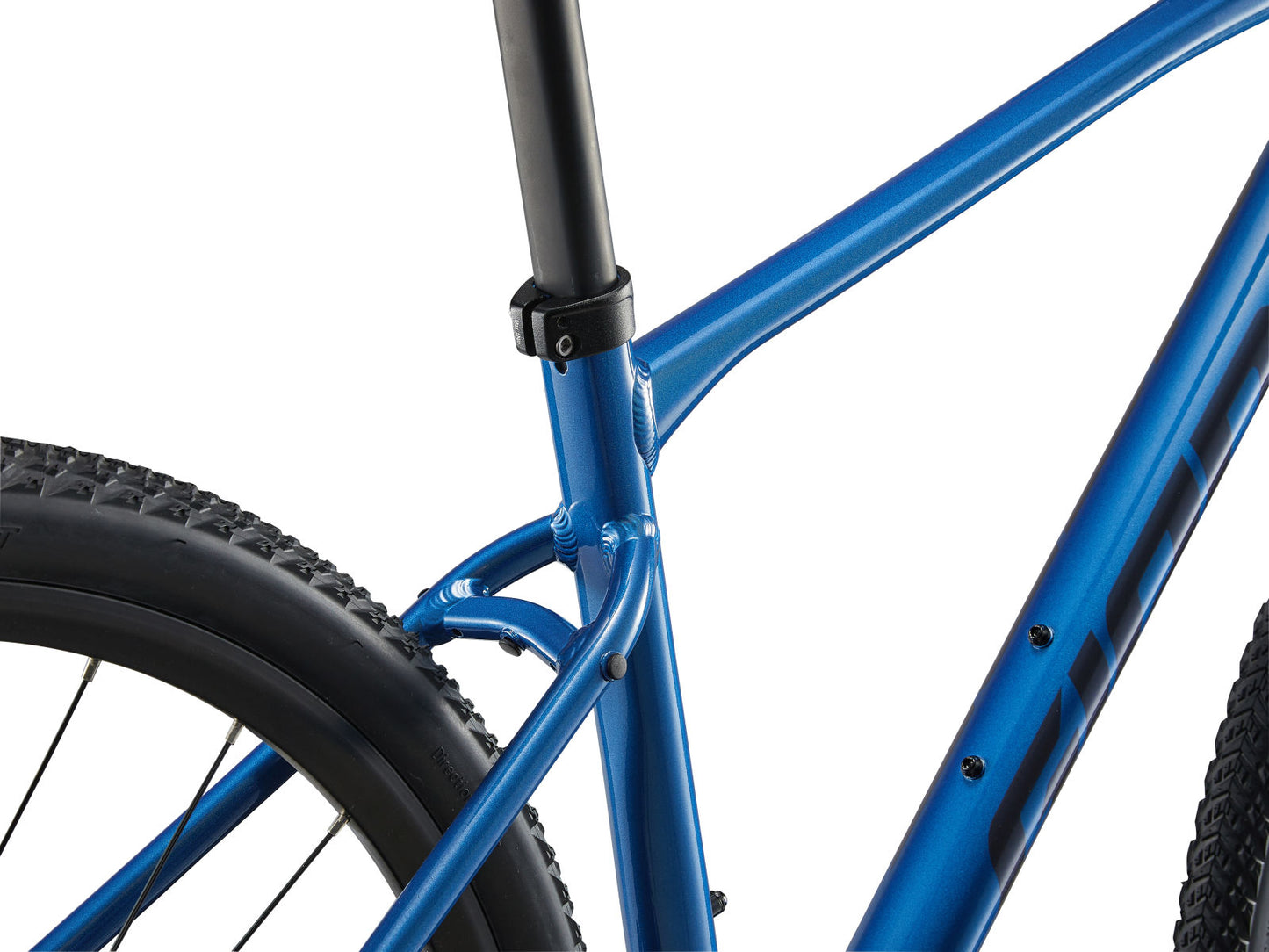 Giant Roam 1