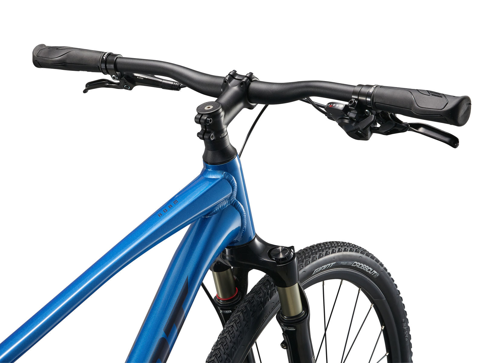 Giant Roam 1