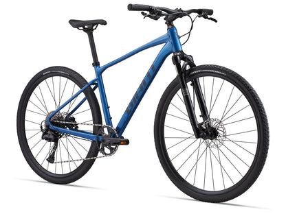 Giant Roam 1