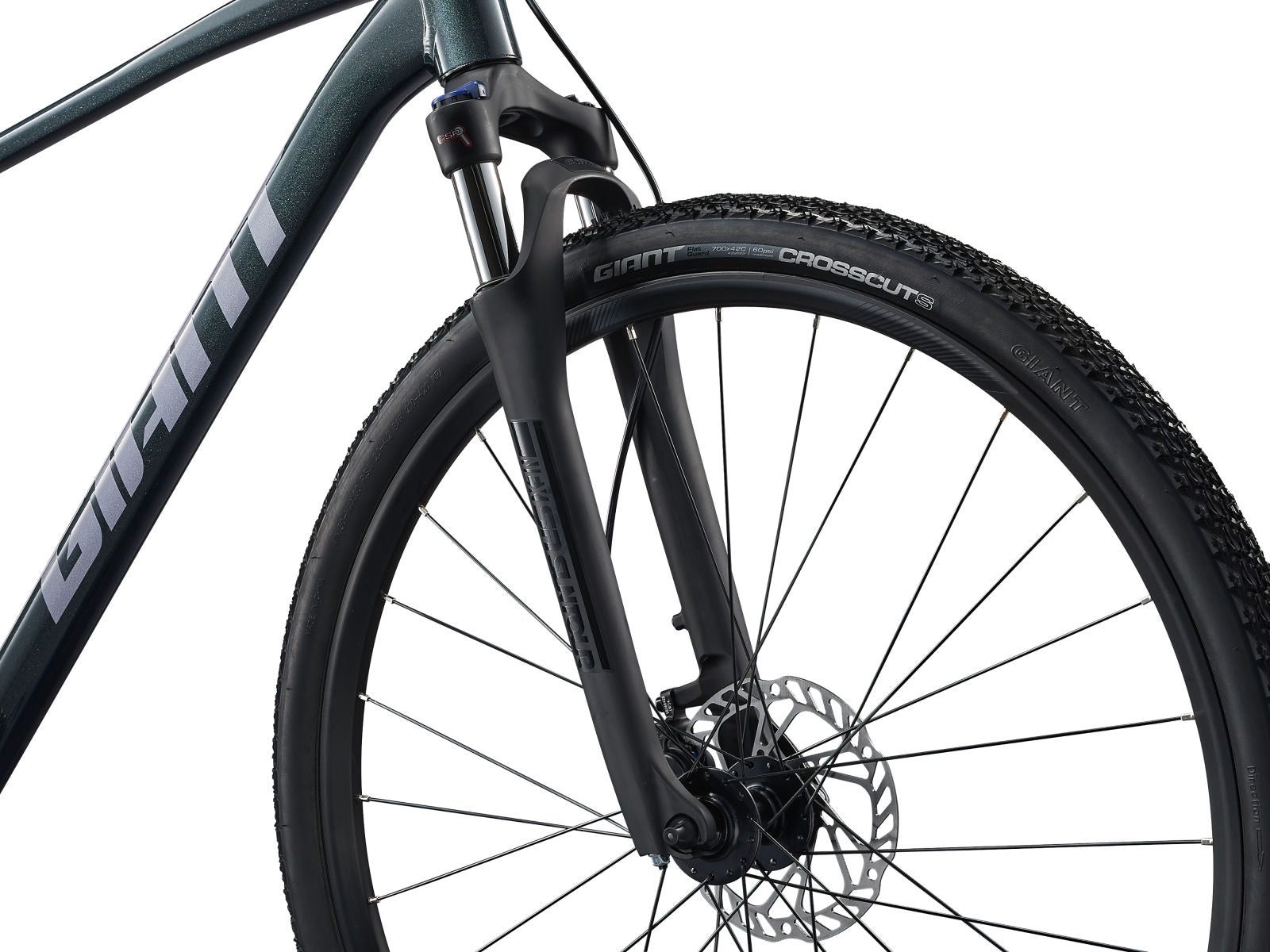 Giant Roam 2
