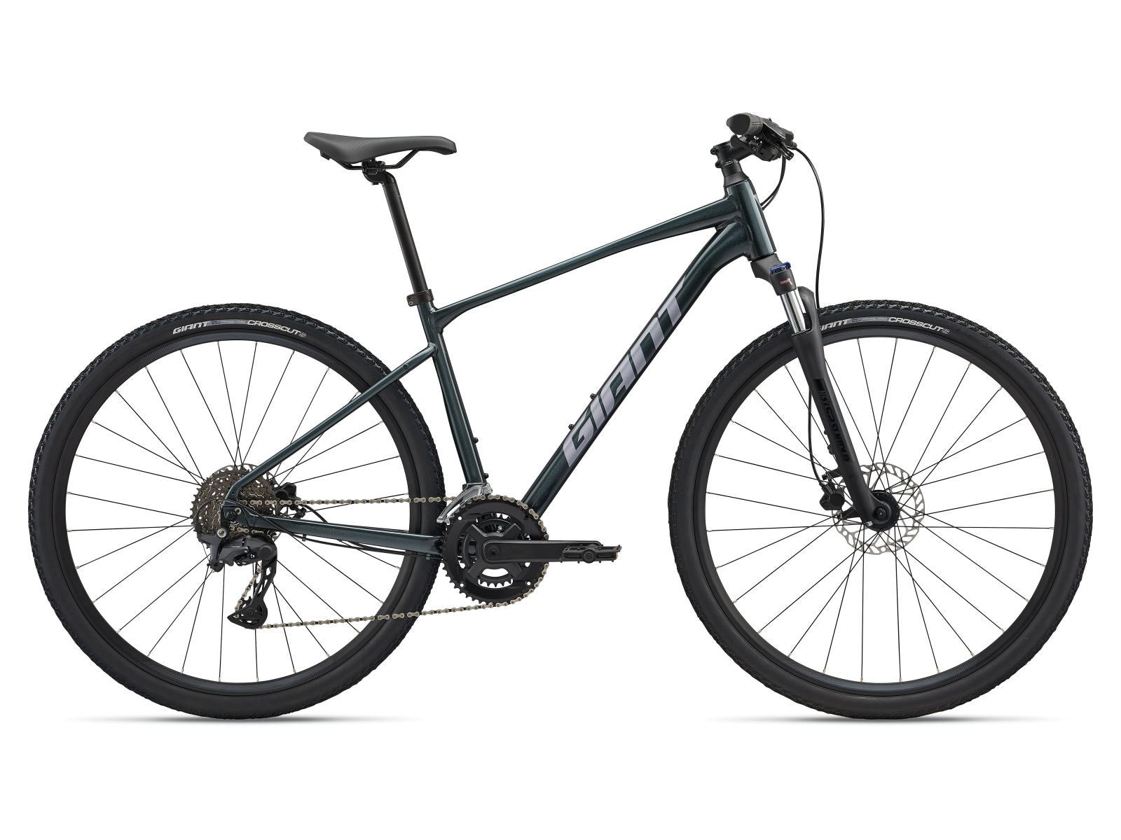 Giant Roam 2 Sports Hybrid Bike  2026 Large - Asphalt Green