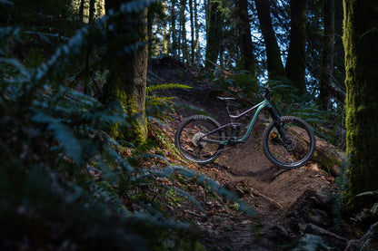Giant Reign 2 2025