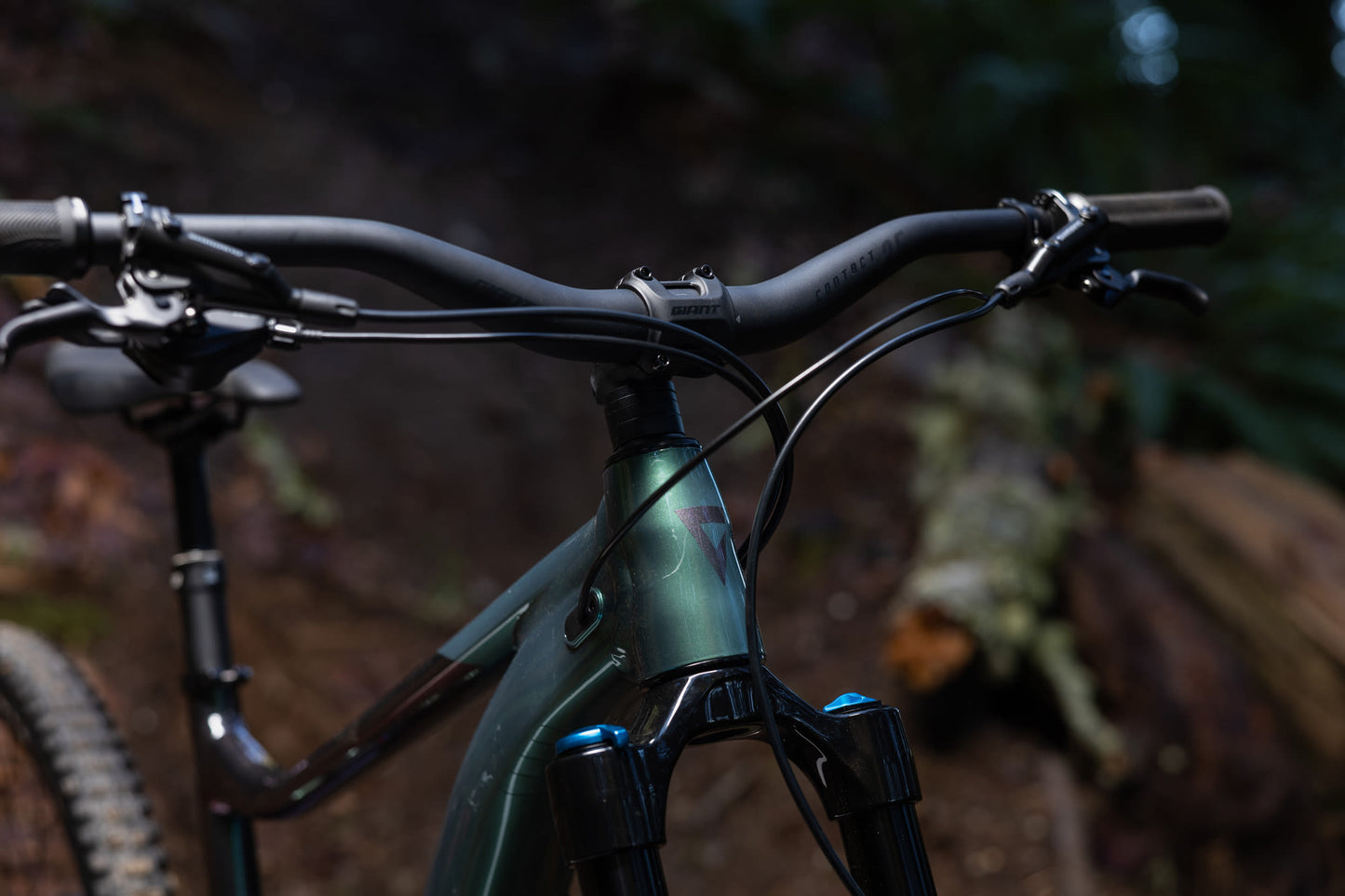 Giant Reign 2 2025