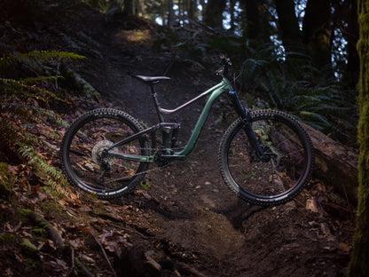 Giant Reign 2 2025