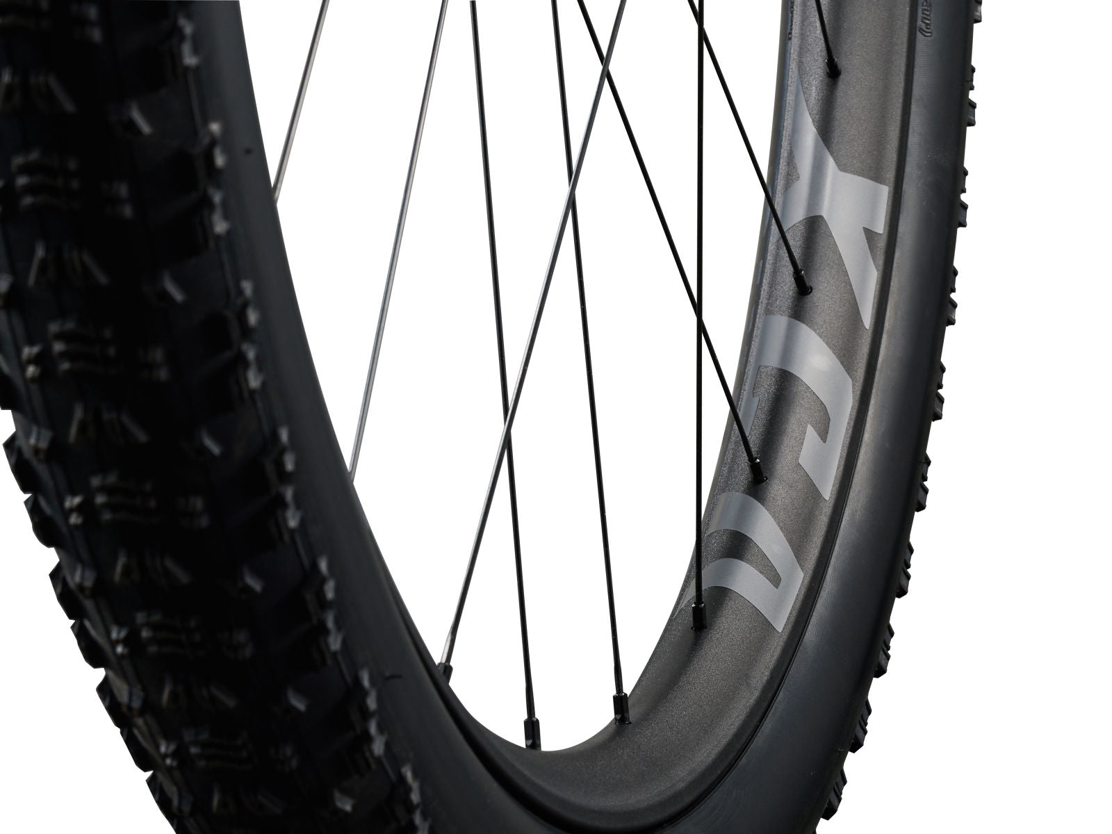 Giant Anthem Advanced SL 2