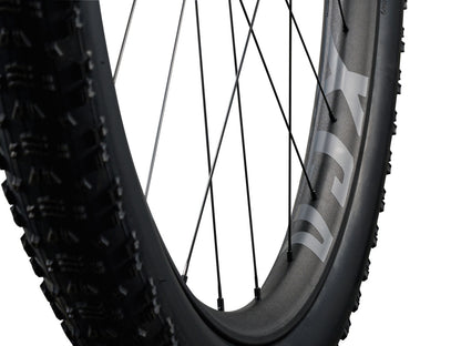 Giant Anthem Advanced SL 2