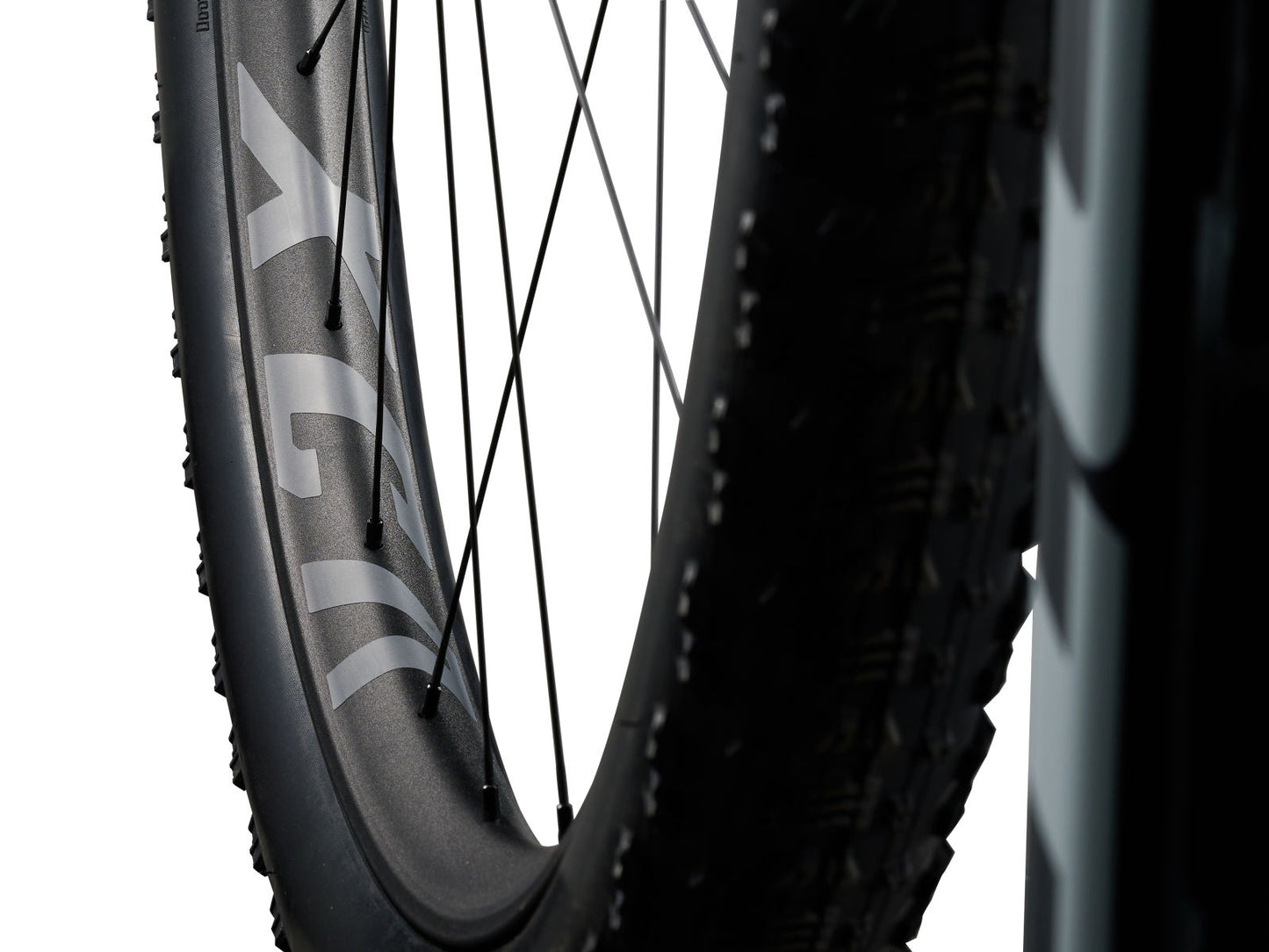 Giant Anthem Advanced SL 2