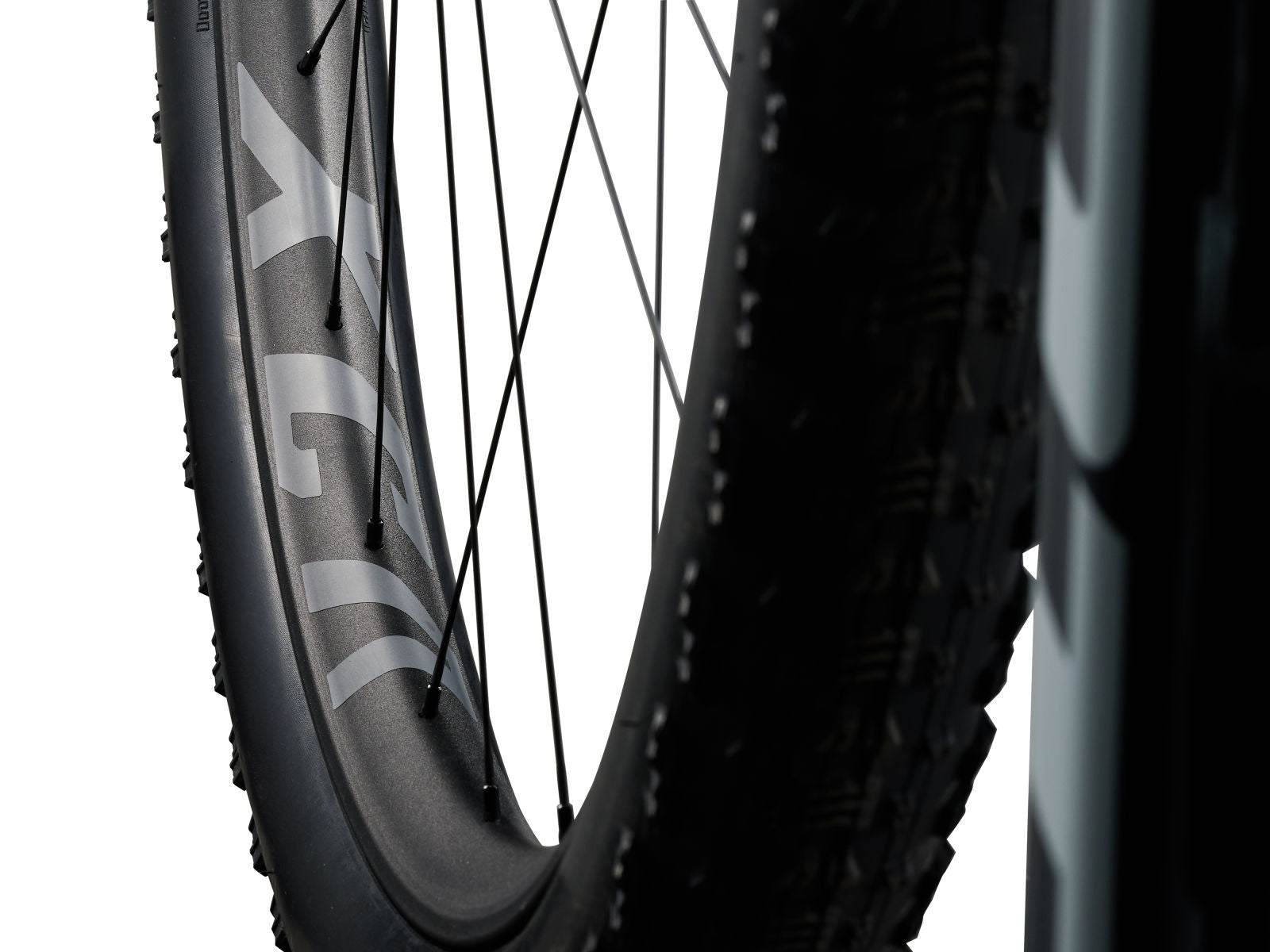 Giant Anthem Advanced SL 2